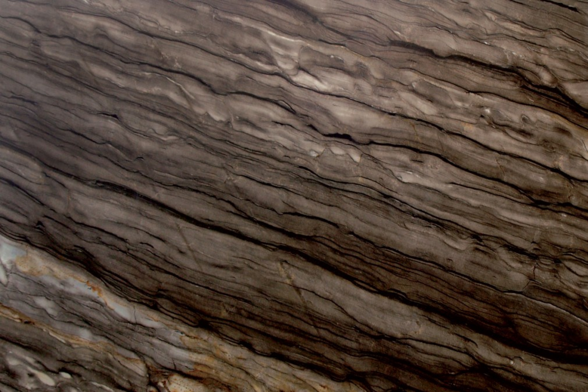 Sequoia Brown quartzite